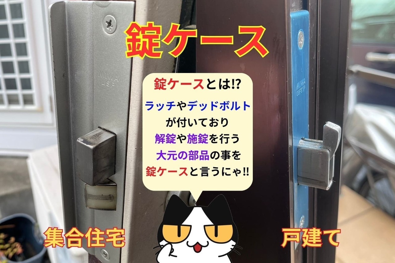 錠ケースとは⁉︎